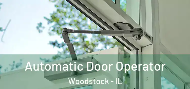  Automatic Door Operator Woodstock - IL