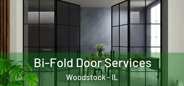  Bi-Fold Door Services Woodstock - IL