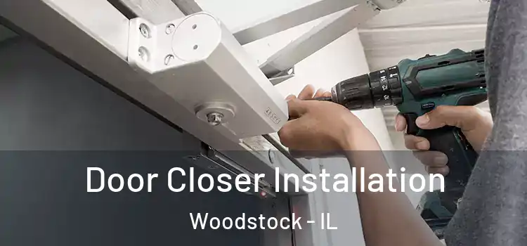 Door Closer Installation Woodstock - IL