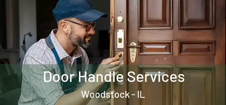  Door Handle Services Woodstock - IL