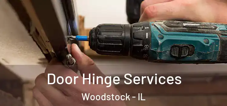  Door Hinge Services Woodstock - IL