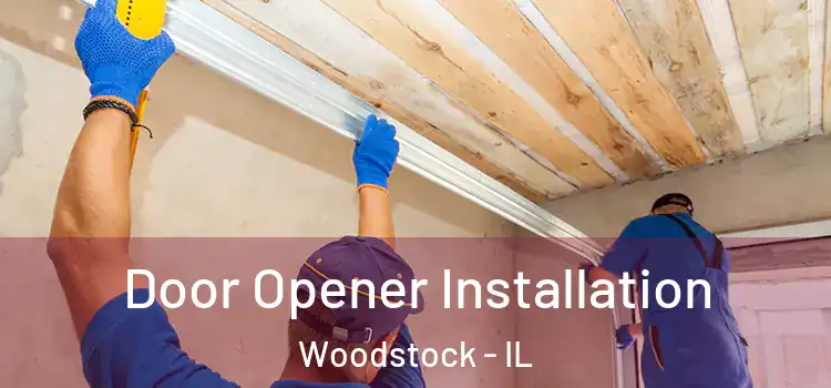  Door Opener Installation Woodstock - IL