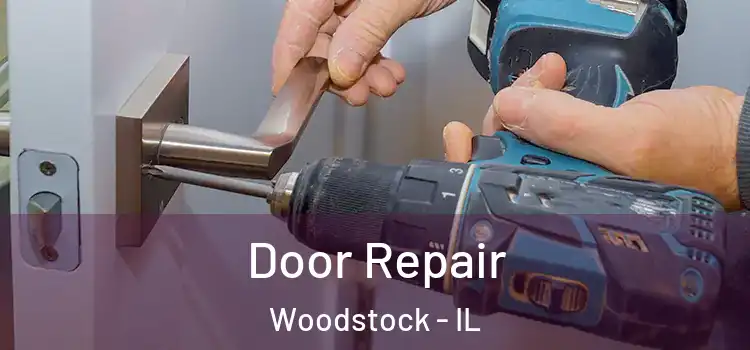  Door Repair Woodstock - IL