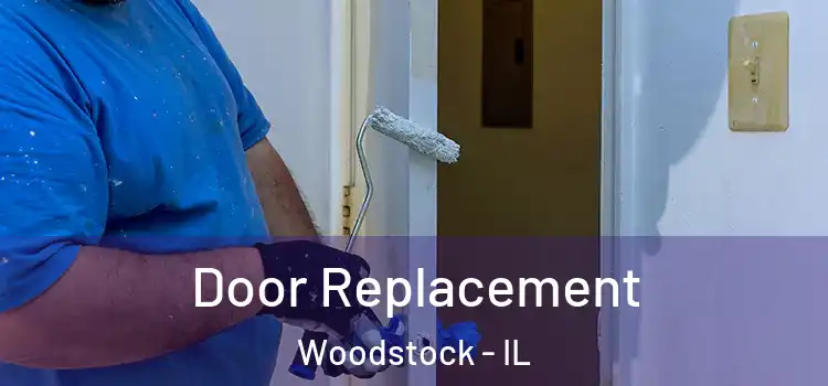  Door Replacement Woodstock - IL