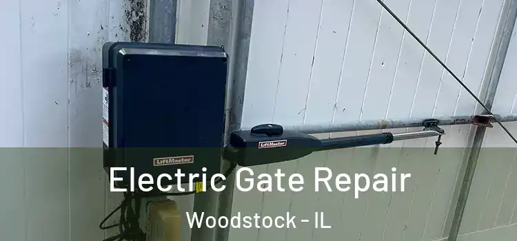 Electric Gate Repair Woodstock - IL