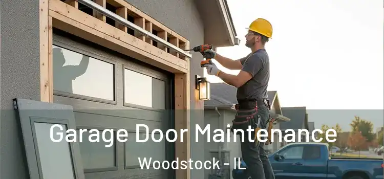  Garage Door Maintenance Woodstock - IL