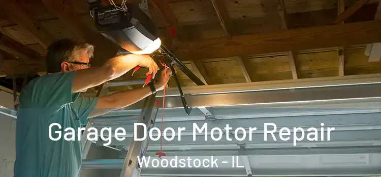  Garage Door Motor Repair Woodstock - IL