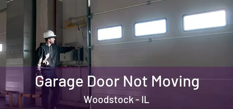  Garage Door Not Moving Woodstock - IL