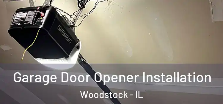  Garage Door Opener Installation Woodstock - IL