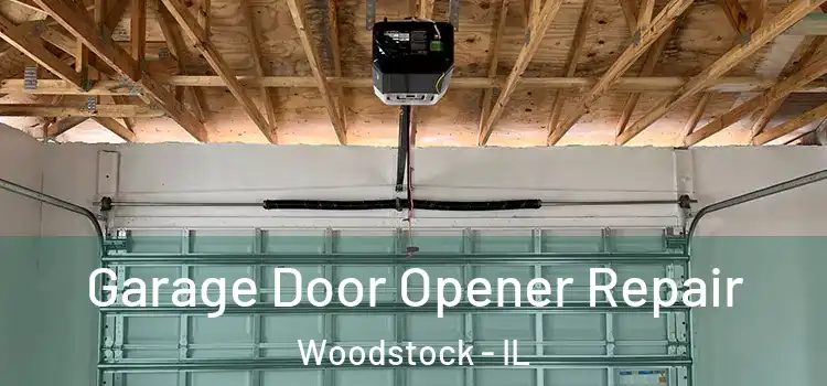  Garage Door Opener Repair Woodstock - IL