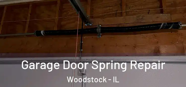  Garage Door Spring Repair Woodstock - IL