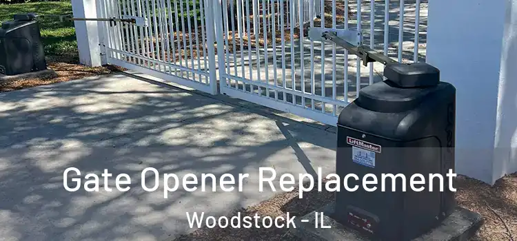  Gate Opener Replacement Woodstock - IL