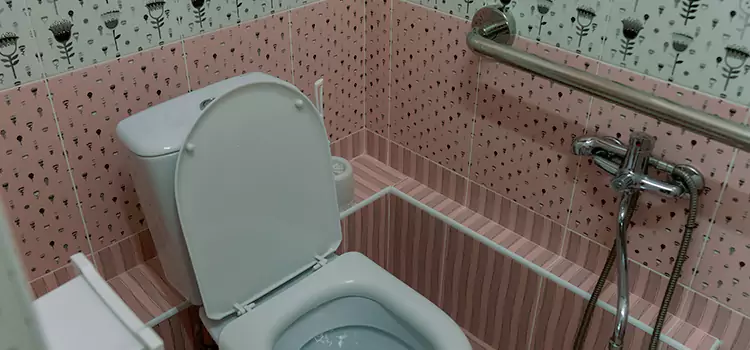 Meeting Diverse Needs With Accessible Restroom Solutions in Woodstock, IL