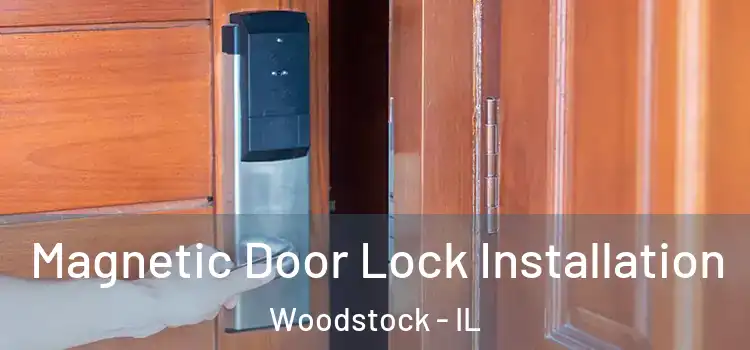  Magnetic Door Lock Installation Woodstock - IL
