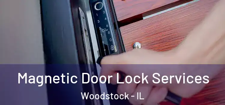  Magnetic Door Lock Services Woodstock - IL