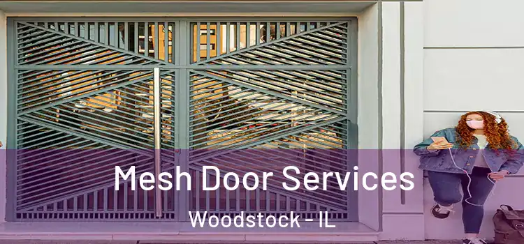  Mesh Door Services Woodstock - IL