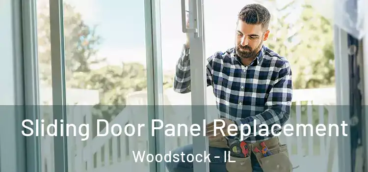  Sliding Door Panel Replacement Woodstock - IL