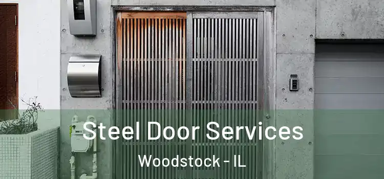  Steel Door Services Woodstock - IL